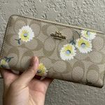 Coach Accordion Zip Wallet In Signature Canvas With Daisy Print c3370 Photo 0