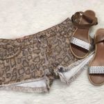 1st Kiss Distressed Animal Print Shorts Photo 0