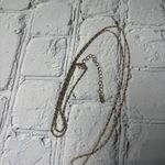 Lane Bryant  Magenta Gold Tone Teardrop Necklace Photo 3