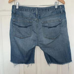 Gap Long & Lean Cut Off Shorts Photo 1