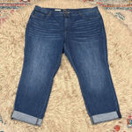 Kut From The Kloth Carrie Boyfriend Jeans size 22W Photo 0
