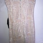 Xenia Beige Lace Boutique Dress Photo 2