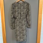 Lucy Paris  Black and Tan Dress Photo 4