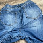 Democracy Artisan Crafted Jeans Size 14 Photo 12