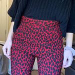 ZARA Leopard Pants Photo 0