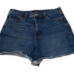 Banana Republic  Girlfriend High Rise Denim Jeans‎ Short with Raw Hem 31/12 Photo 0