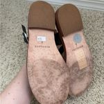 Everlane Black Leather Sandals with Silver Buckles Photo 2