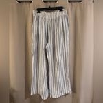Ellen Tracy  Blue and Cream Striped Wide Leg Pants Photo 2