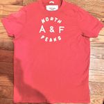 Abercrombie & Fitch vintage Y2K "North A&F Peaks"distressed-T shirt SZ LARGE Muscle Photo 2