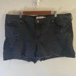 Torrid Women's Black Lace Trim Shorts Size 24 EUC! Photo 0
