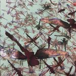 Ted Baker London Carii Dragonfly Dress Photo 11