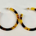 Tortoiseshell Hoops Photo 0