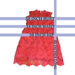 Nanette Lepore NANETTE NANETTE LENORE "CAMEO ROSE" LACE CROCHET DRESS (14) Photo 10