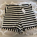 Milly NWT  Aria Yarn Dye Knit Sequin Short Size 4 Photo 1