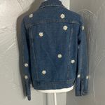 Veveret Daisy Photo 6