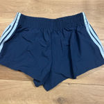 Edikted  Shorts Photo 0