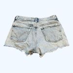 AGOLDE  Parker cut off Jean shorts button fly Size 29 Photo 1