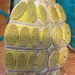 Brooks โ๏ธ๐
บ pure flow size 7 Photo 6