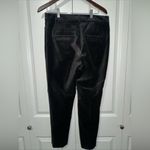 Loft  Velvet Dress Pants Size 8P NWT Photo 3