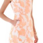 Diane Von Furstenberg Diane Von Furstenburg Capreeni rose jacquard mini dress size 4 Photo 0