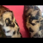 NWT Nasty gal faux fur leopard print coat size M Size M Photo 8