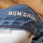 American Eagle Non Stretch Denim Mom Shorts Photo 6