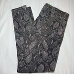 Democracy  Ab Solution Jeans Womens 14 Jegging Zip Snake Skin Gray Denim 34 x 29 Photo 8