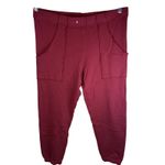 Frank & Eileen  Eamon Triple Fleece Cranberry Size Large Pant Elastic Waistband Photo 1
