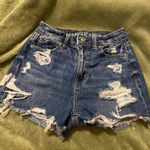 American Eagle High Waisted Mom Shorts  Photo 0