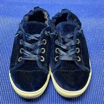 Steve Madden Blue Velvet Sneakers Photo 0