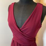 13. Blaine Burgundy Jumpsuit with Plunging V Photo 2