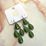 Charming Charlie  green and gold tone drop earrings Photo 0