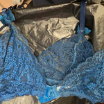 FINAL MARKDOWN HIPS & Curves Garter Belt (1X) Photo 2