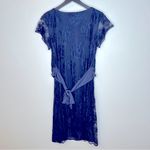 Tiffany Rose April Navy Lace Maternity Nursing Dress Size 6 Blue Photo 4