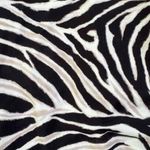 Lauren Ralph Lauren Zebra Print Ring Front One Piece Swimsuit Size 16 Photo 8