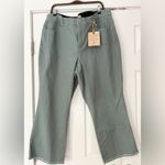 Democracy  High Rise Cropped Pants Light‎ Olive Green Size 22 NWT Absolution Tech Photo 1