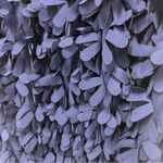 Gracia 3D blue petal dress with side zip closure size medium Photo 6