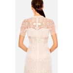 Mac Duggal Floral Embroidered Sheer Mesh Dress Blush 12 Photo 4