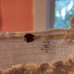 Free People  Top Photo 2