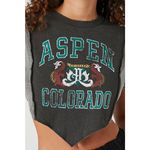 Forever 21 Fleece Colorado Graphic Cropped Tee Photo 7