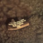 Sam Edelman  Ozie Shearling Bootie Size 9.5 Black Winter Boots NEW Photo 8