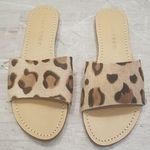 Trina Turk ππ Raquel Slide Sandal ~ Leopard 8 NWT Photo 0