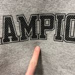 Champion Cropped Grey Crewneck Photo 4
