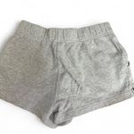 The North Face Grey  shorts. Women’s size medium. Photo 1