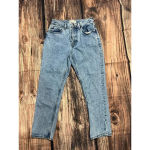 Everlane Women's Size 26 Crop 90s Cheeky Mom Jeans Blue Light Wash Photo 1