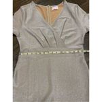 Pink Lily  Medium Hold Sparkle Shimmer Shiny Long Sleeve V Neck Dress Photo 5