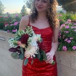 Red Dress Size 0 Photo 1