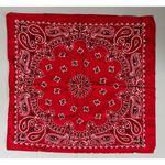 Red Paisley Print Square Bandana Scarf Wrap Headband Unisex Fashion Accessory ♥️ Photo 1