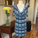 Blue and White Rain Cowl Neck Dress Photo 7