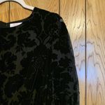 Parker Size Medium Black Carmindy Crewneck Long-Sleeve Velvet Burnout Dress Photo 2